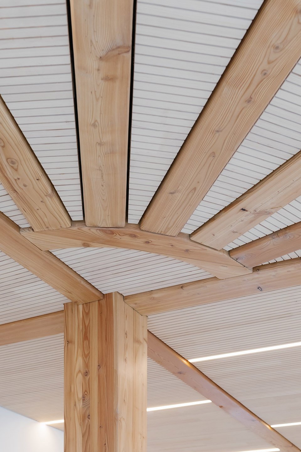 圣路易斯幼儿园,法国 / Janez Nguyen Architects 圣路易斯幼儿园,法国 / Janez Nguyen Architects