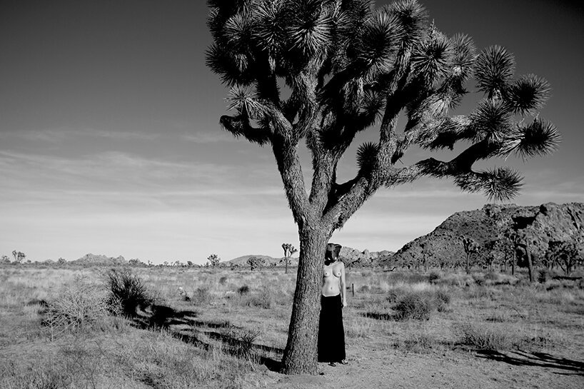 视听艺术家 0010x0010 和 xumiiro 画廊让观众沉浸在家里