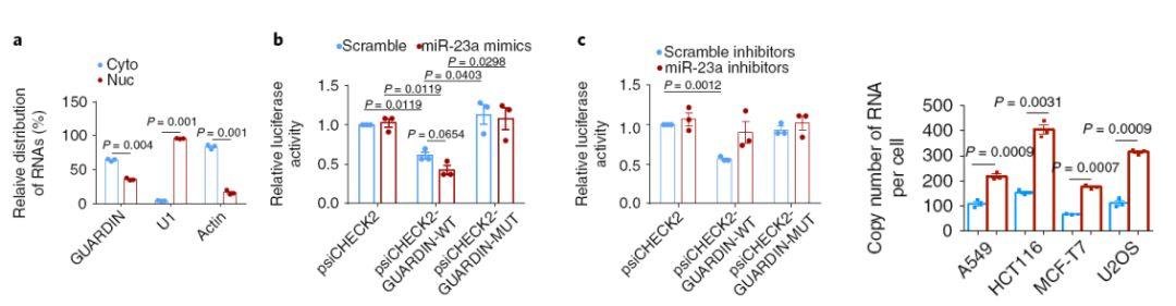 吴缅:lncRNA 神人 2 个月连发 PNAS 和 Nature 子刊