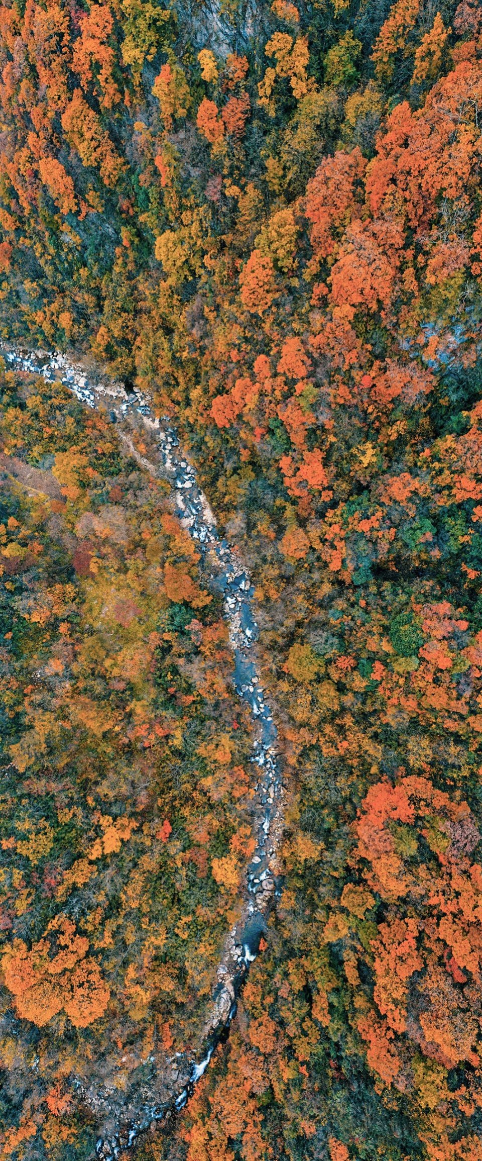 秦岭宿集 空山九帖书店·王维的寂寞、山果落餐厅 / STUDIO QI
