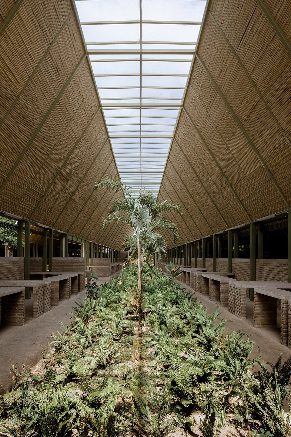 Guadalupe 市场,墨西哥 / COLECTIVO C733 Guadalupe 市场,墨西哥 / COLECTIVO C733