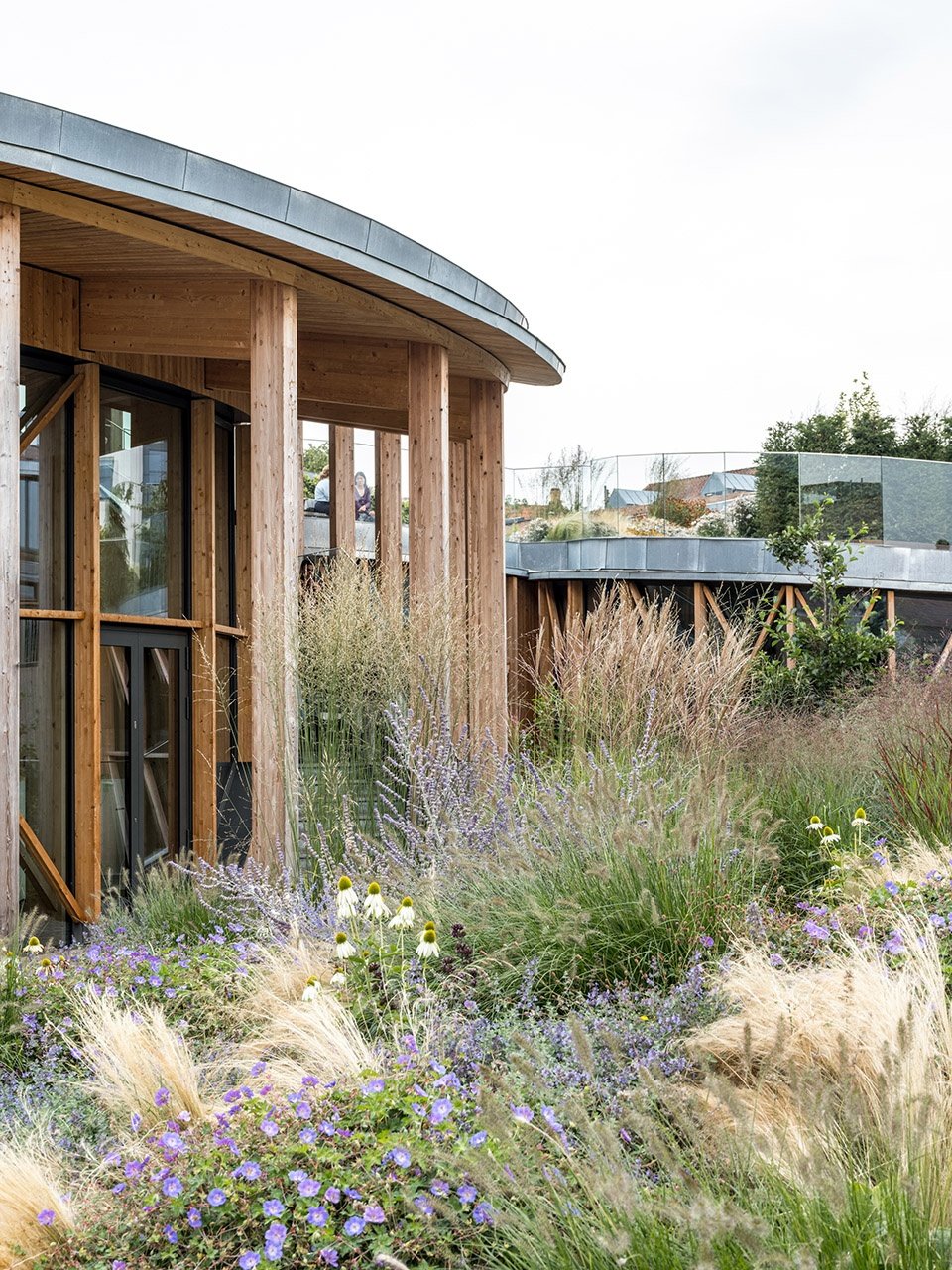 H.C. 安徒生博物馆，丹麦 / 隈研吾建筑都市设计事务所 + MASU Planning