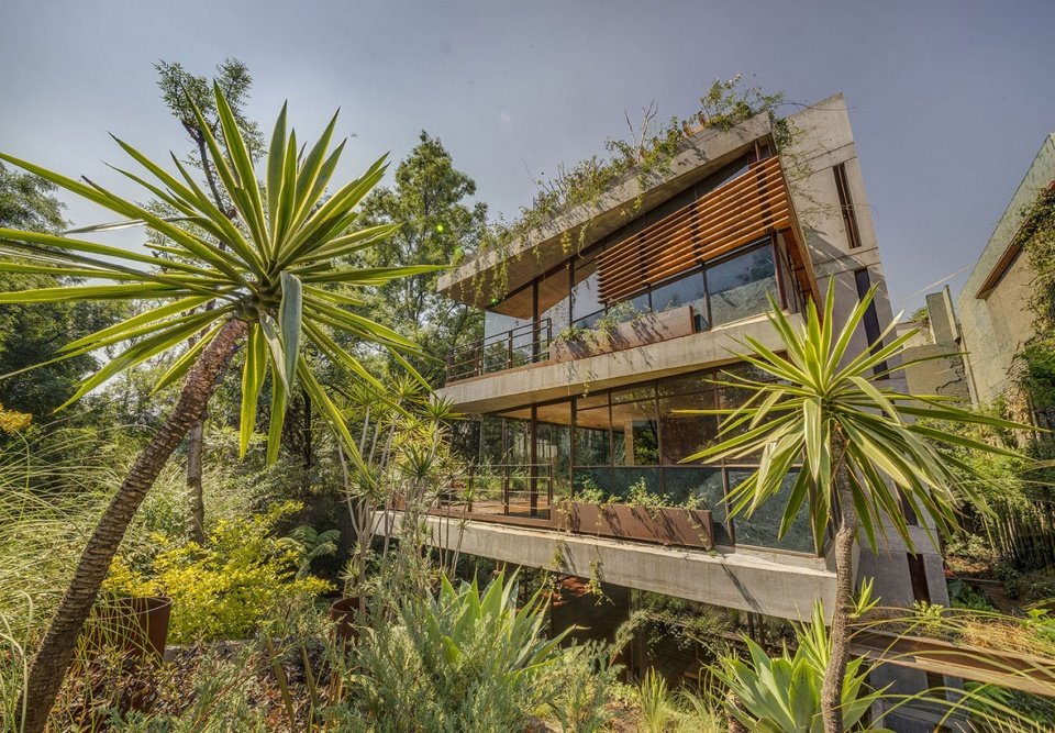 Erasto 住宅,墨西哥 / VERTEBRAL Erasto 住宅,墨西哥 / VERTEBRAL