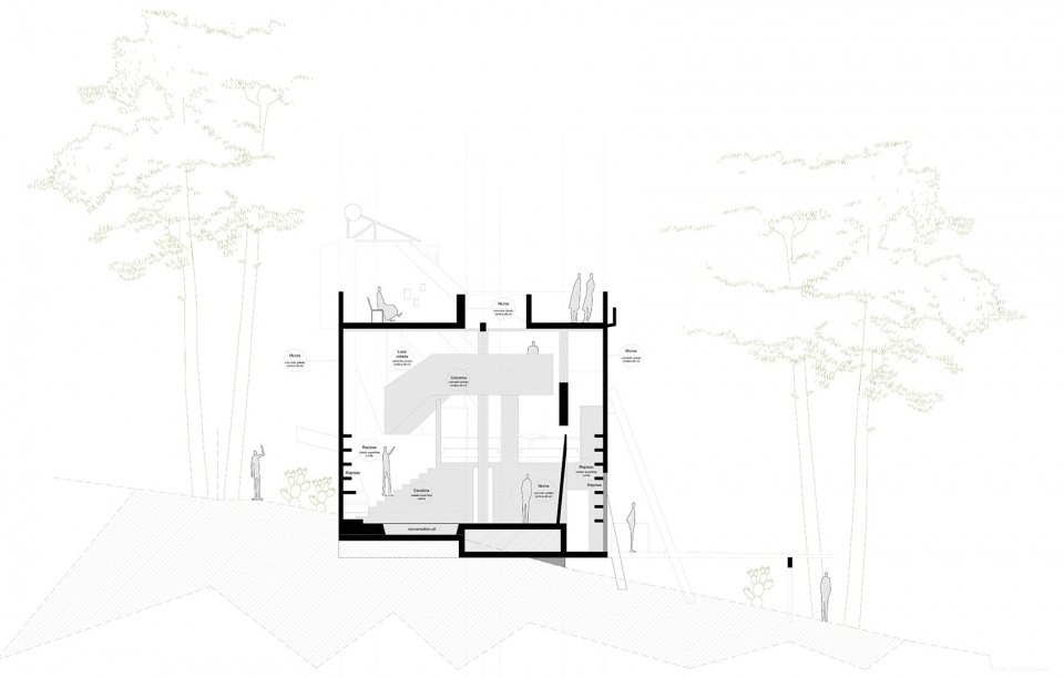 Alferez 之家，墨西哥 / Ludwig Godefroy Office