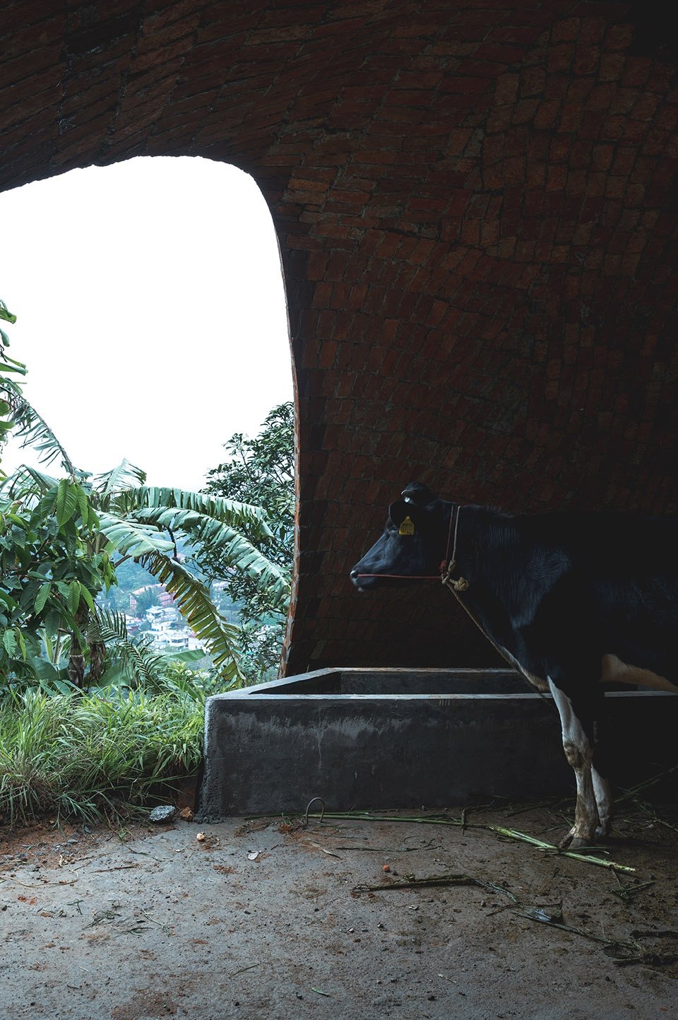 “天堂”永久体验馆,印度 / Earthscape Studio “天堂”永久体验馆,印度 / Earthscape Studio