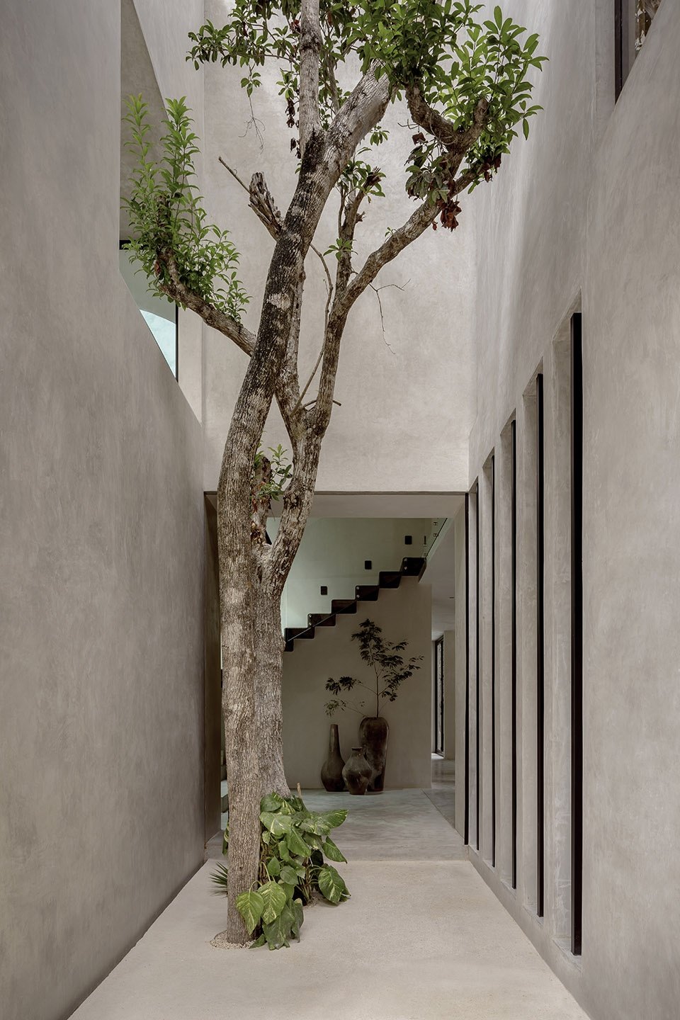 Cava 别墅，墨西哥 / Espacio 18 Arquitectura