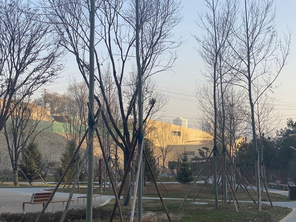 西宁市群众文化艺术活动交流中心，青海 / 西安建筑科技大学设计研究总院有限公司