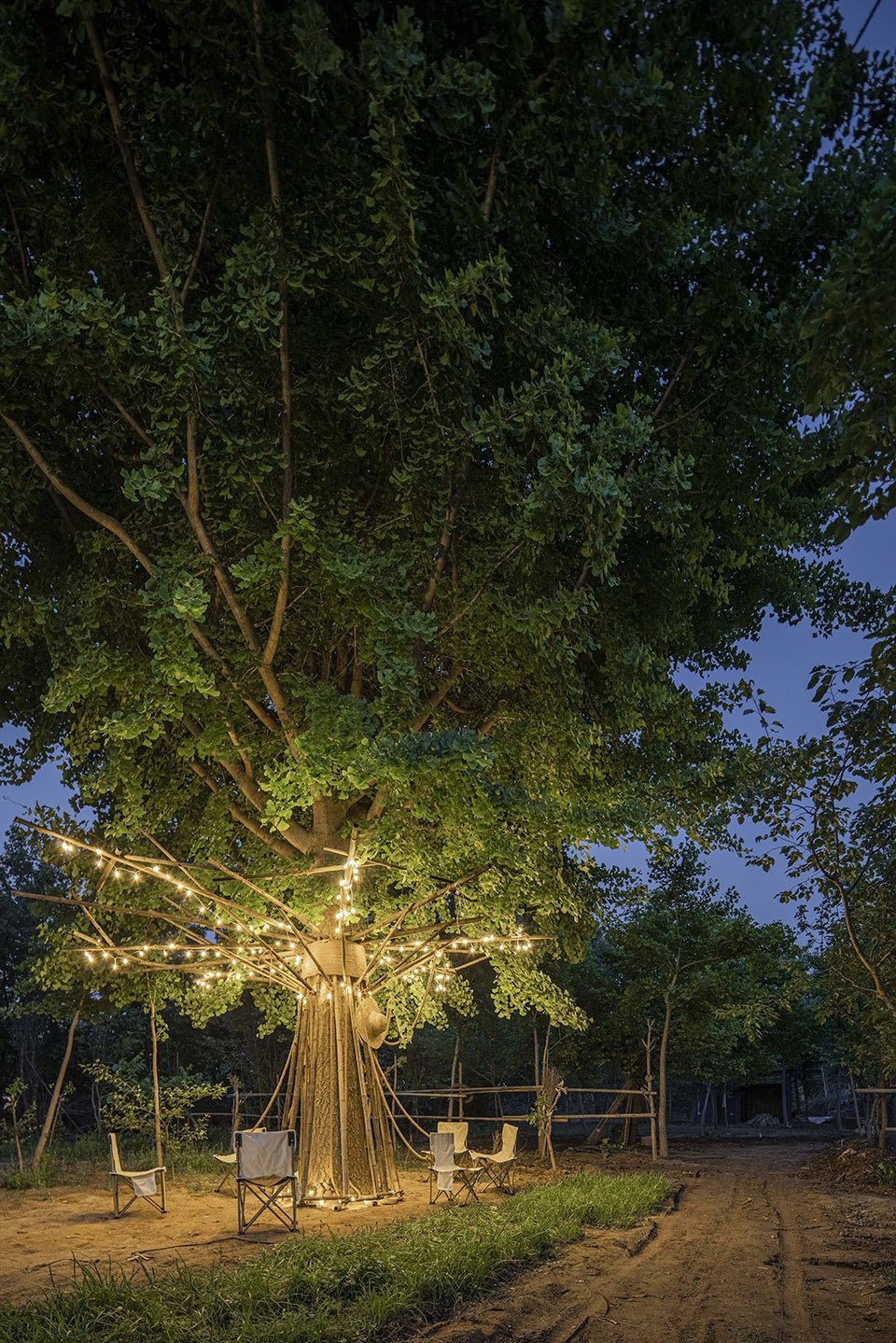 竹装置 –“Tree of Life”/ UK Studio