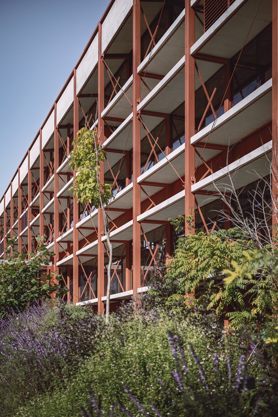 CBG 园区，墨西哥 / Estudio MMX + Luis Campos