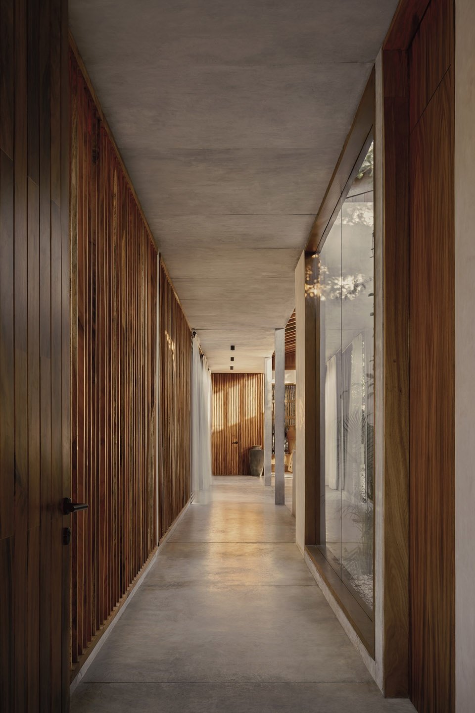 热带住宅,图卢姆 / Jaque Studio 热带住宅,图卢姆 / Jaque Studio