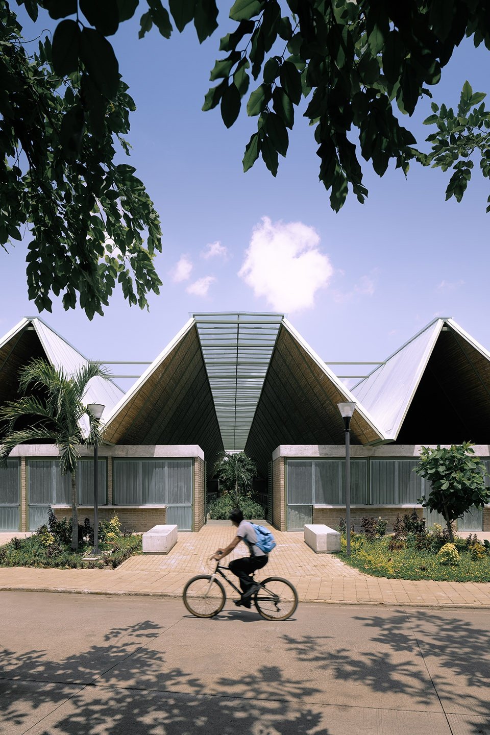 Guadalupe 市场,墨西哥 / COLECTIVO C733 Guadalupe 市场,墨西哥 / COLECTIVO C733