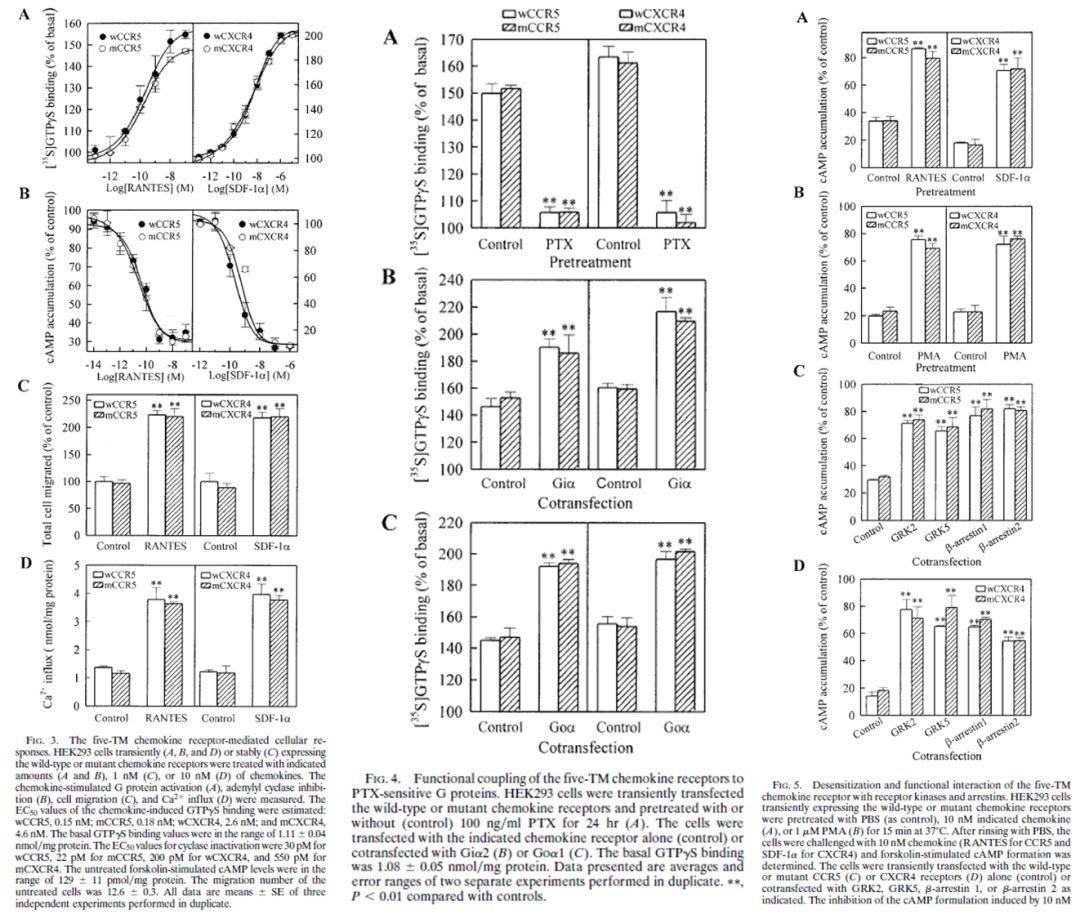 首医校长饶毅举报裴钢院士等 3 人造假！附涉事论文介绍