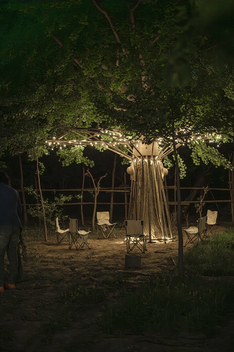 竹装置 –“Tree of Life”/ UK Studio