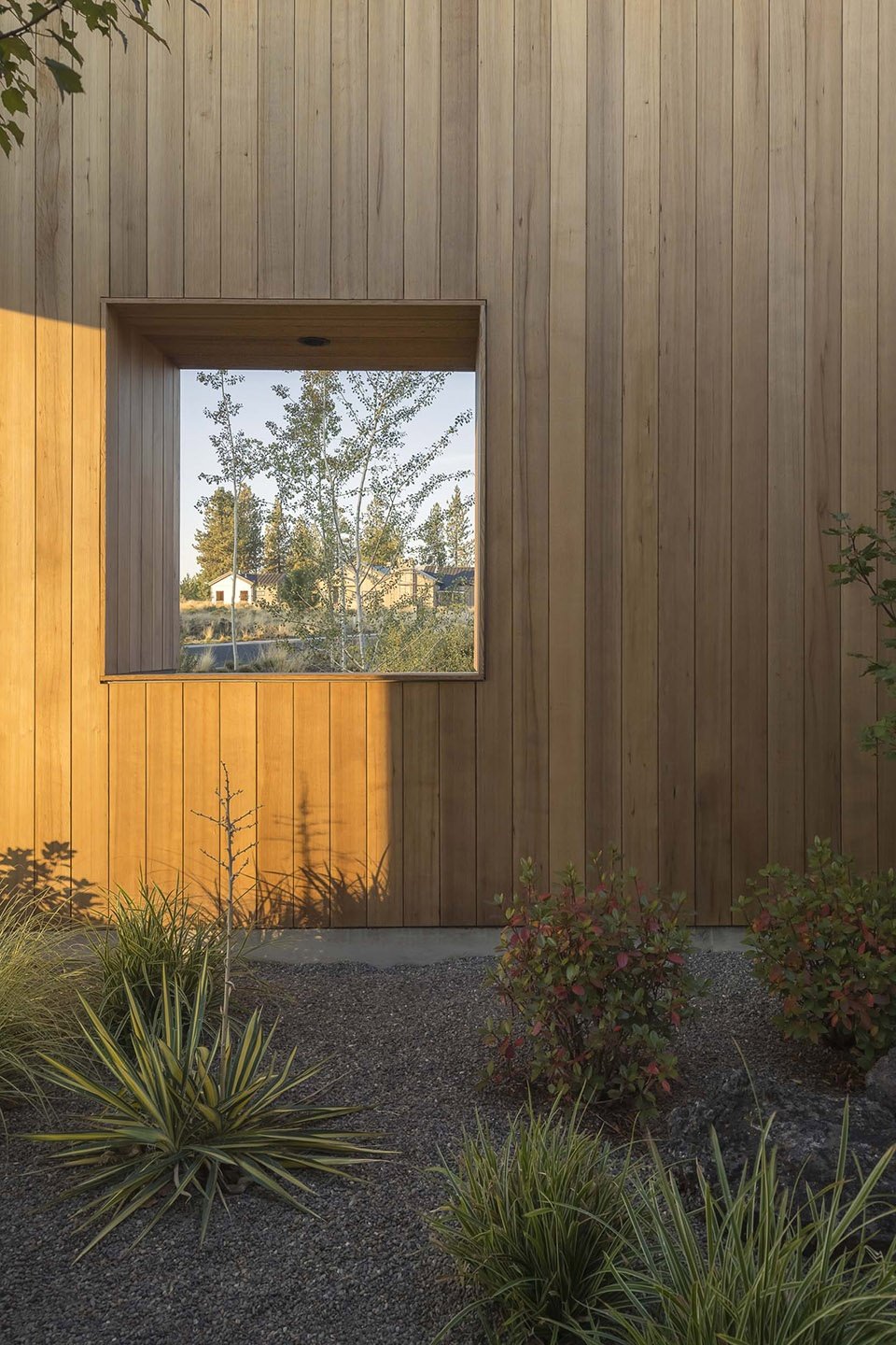 M2 之家，美国 / FRPO