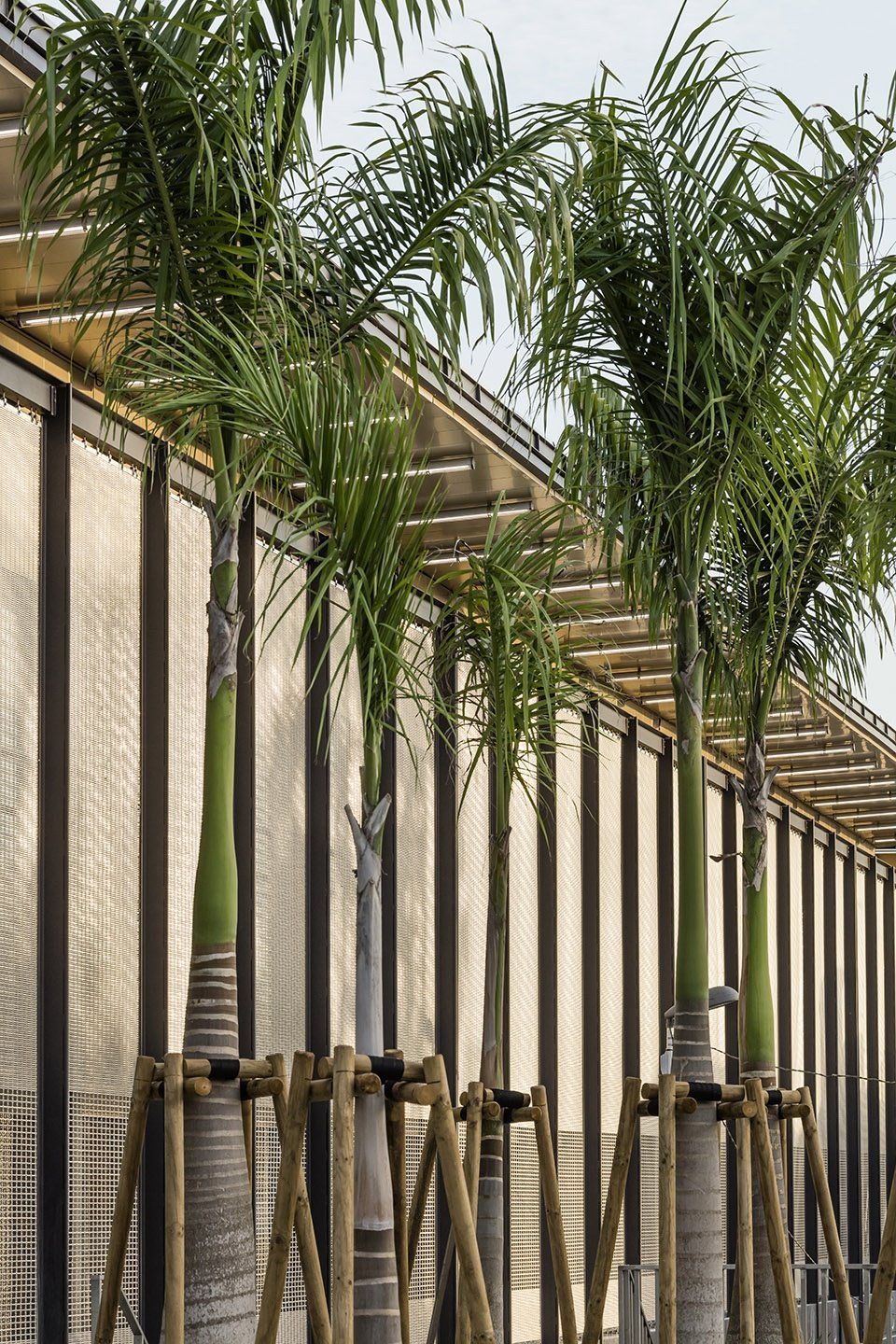 Pointe-à-Pitre 法院,法属西印度群岛 / Ignacio Prego Architectures Pointe-à-Pitre 法院,法属西印度群岛 / Ignacio Prego Architectures