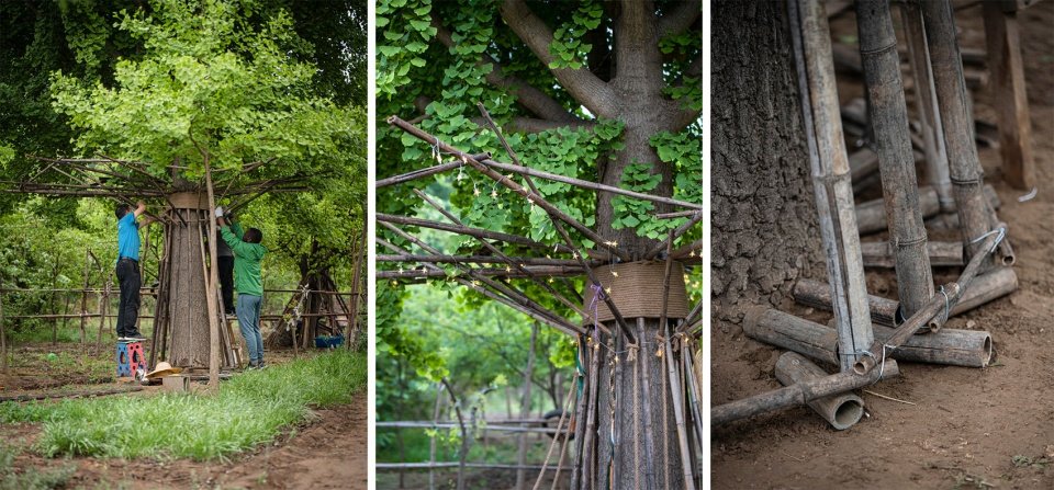竹装置 –“Tree of Life”/ UK Studio