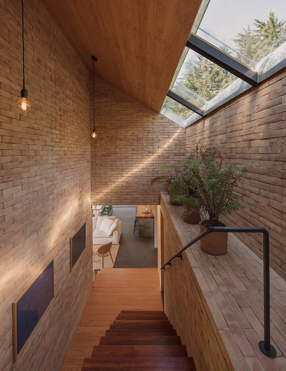 GARDENIA 住宅，墨西哥 / Estudio Atemporal