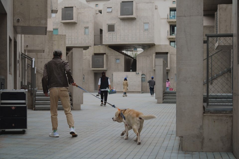阿那亚犬舍，秦皇岛 / GOM 高目建筑