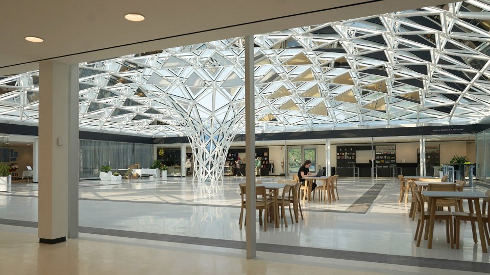 Common Sky 艺术空间，布法罗 / Studio Other Spaces
