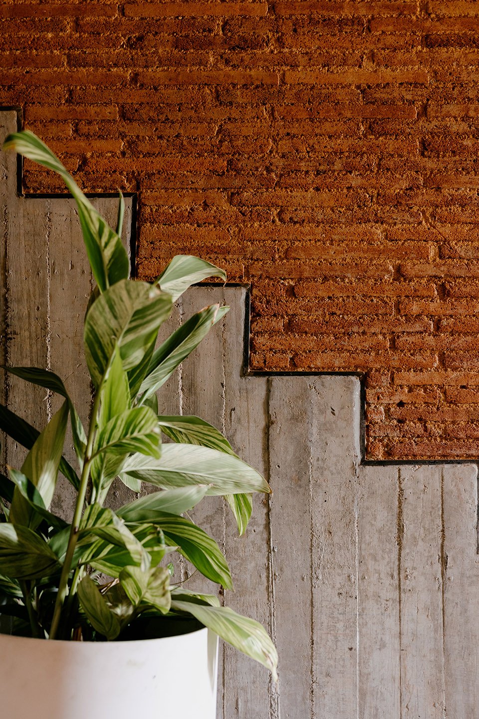 Cobarde 酒吧餐厅,墨西哥 / Rootstudio Cobarde 酒吧餐厅,墨西哥 / Rootstudio