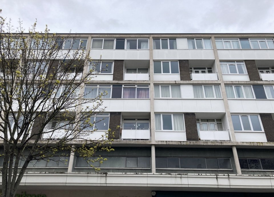Dragon 公寓，英国 / Tsuruta Architects