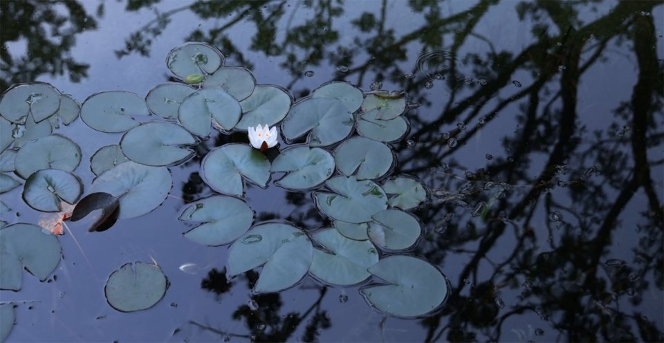 成都宸嘉 · 嘉佰道景观设计 / WTD 纬图设计