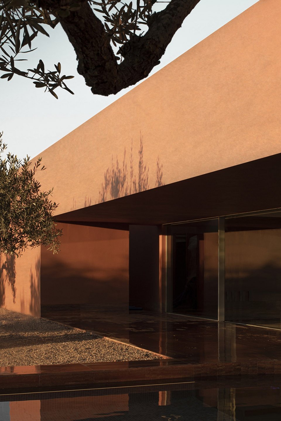 橄榄树林里的住宅，西班牙 / Balzar Arquitectos
