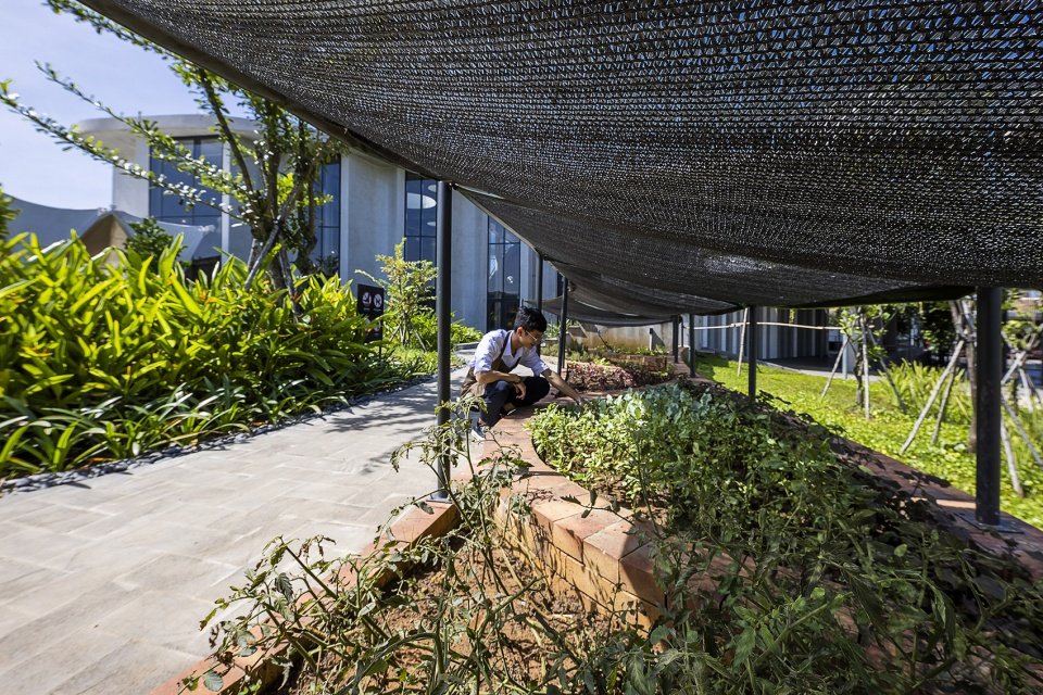 “生态循环馆”餐厅，越南 / Takashi Niwa Architects