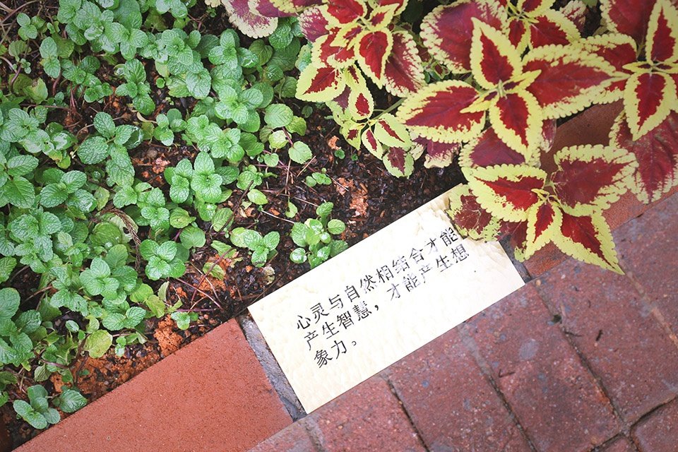 鲸山别墅社区共建花园，深圳 / 哈尔滨工业大学（深圳）建筑学院公共空间实验室