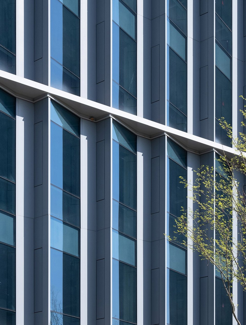 海康威视成都科技园,成都 / 华东建筑设计研究院有限公司 海康威视成都科技园,成都 / 华东建筑设计研究院有限公司