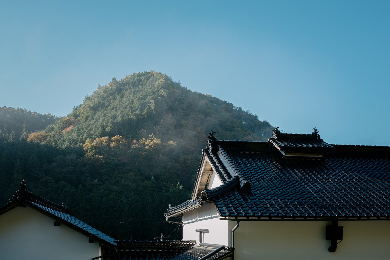 神石住宅，日本 / REIICHI IKEDA DESIGN