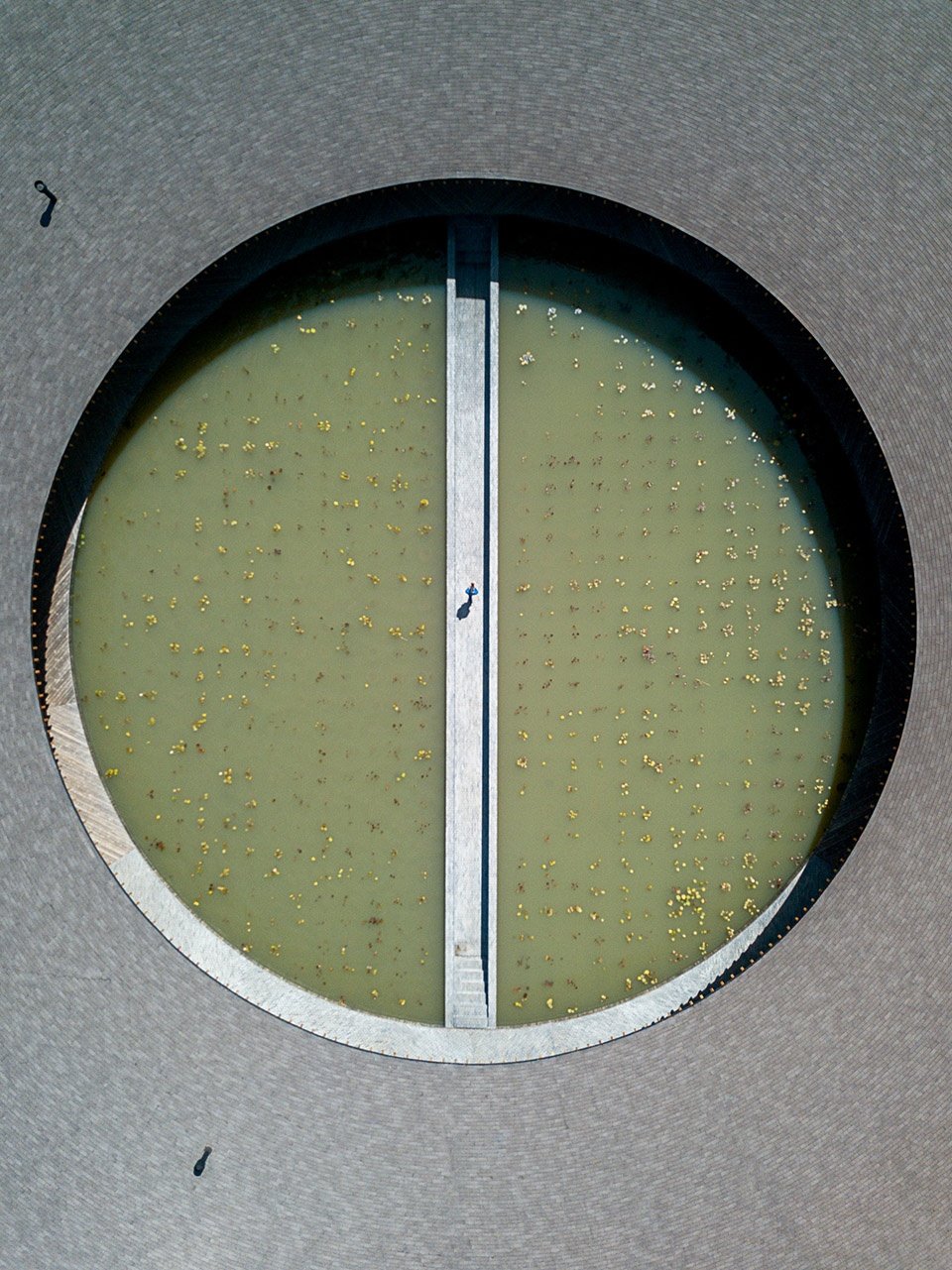 Valle San Nicolás 俱乐部，墨西哥 / Sordo Madaleno Arquitectos