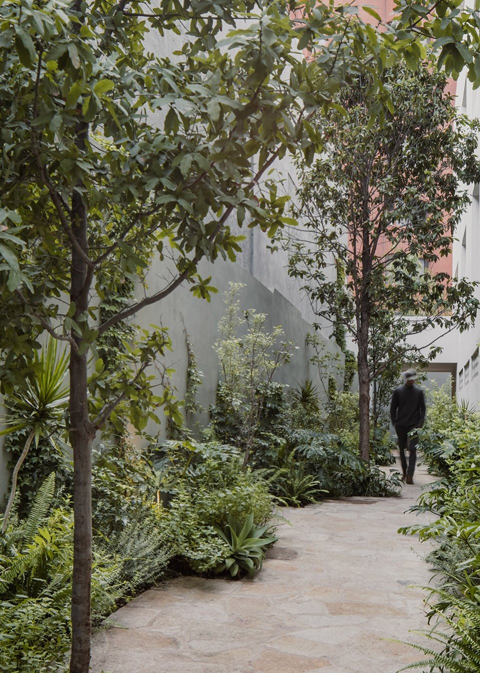 Hacienda Santa Bárbara 107 公寓，墨西哥 / Cuartopiso + Barragán Arquitectos