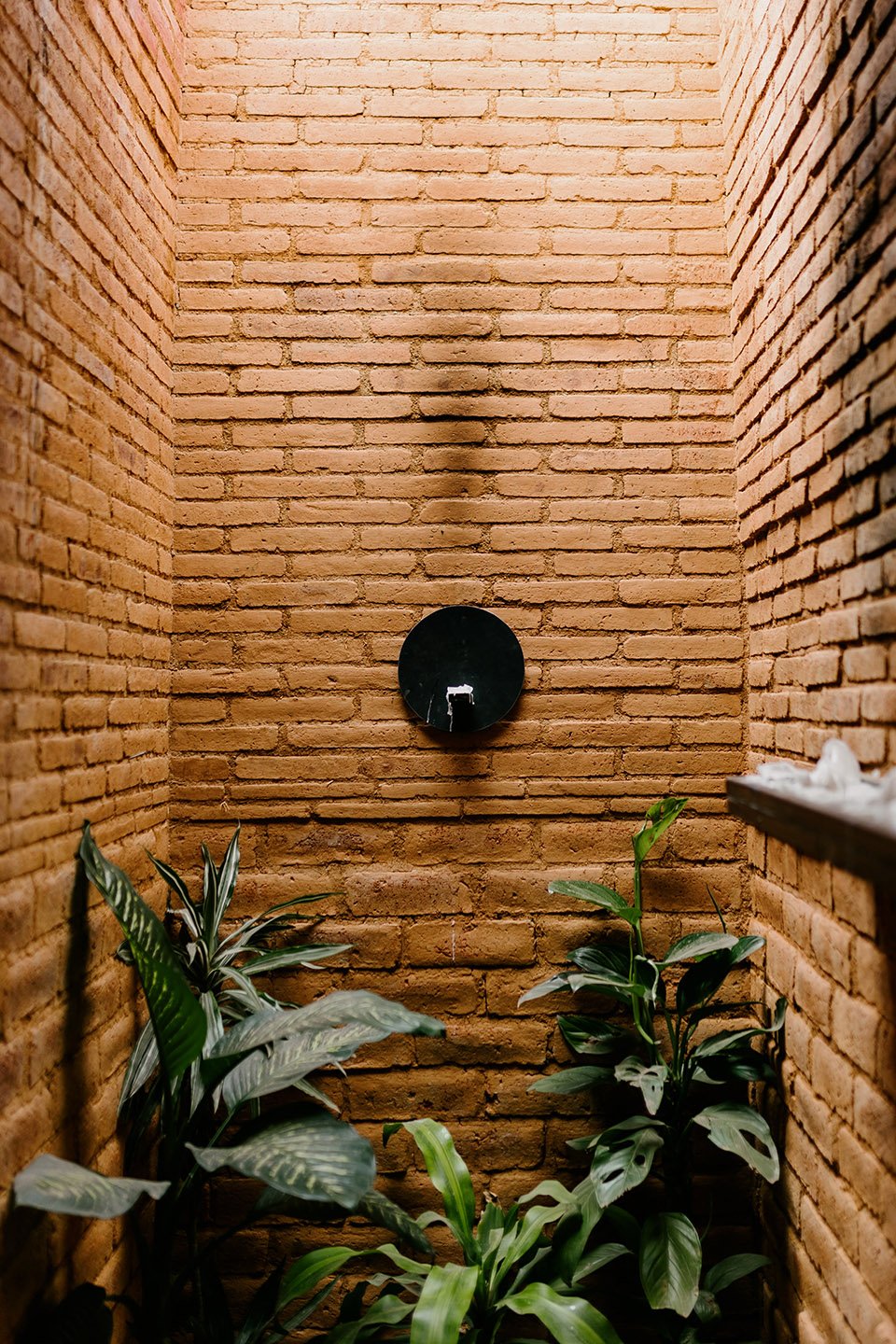 Cobarde 酒吧餐厅,墨西哥 / Rootstudio Cobarde 酒吧餐厅,墨西哥 / Rootstudio