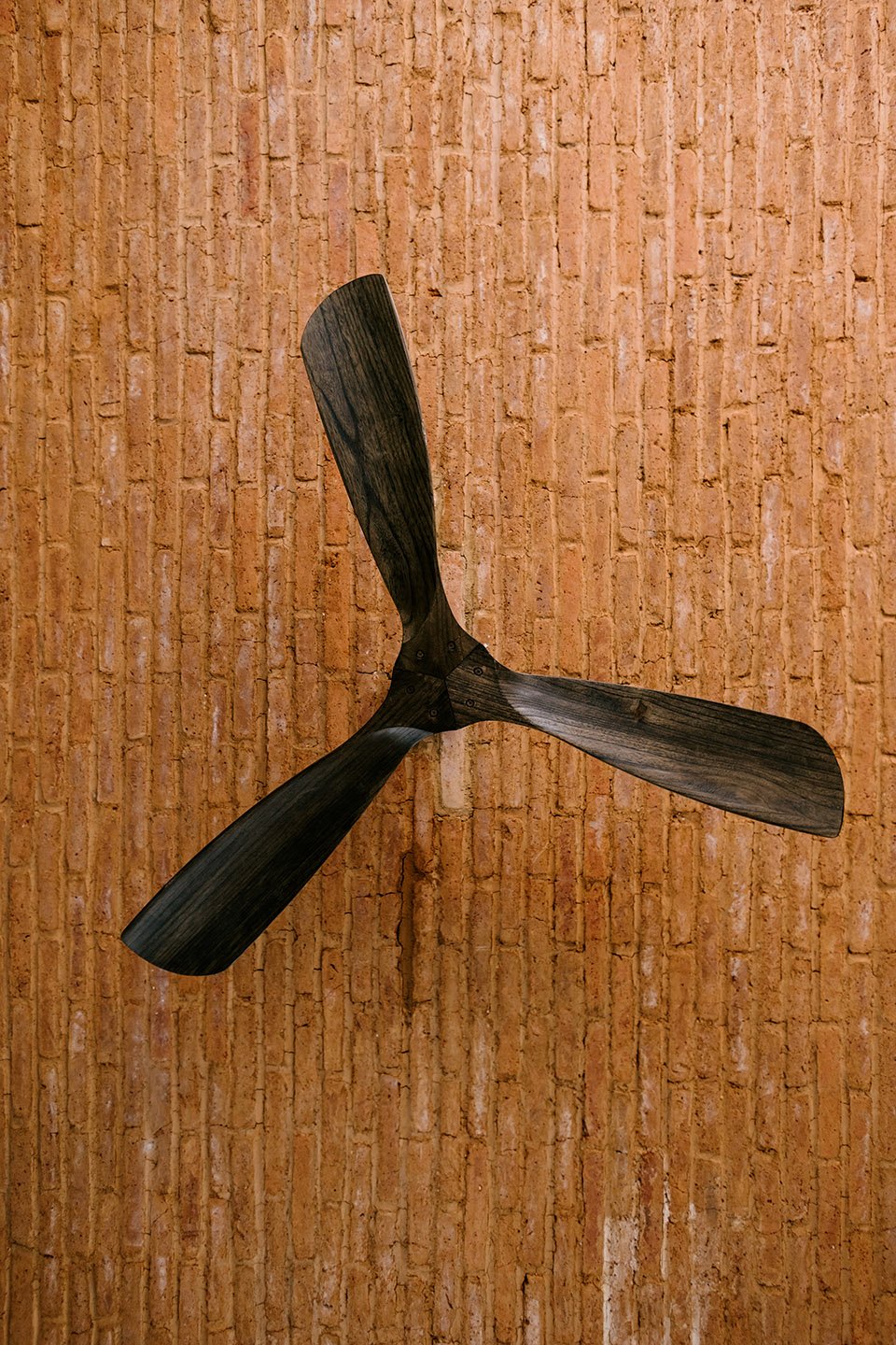 Cobarde 酒吧餐厅,墨西哥 / Rootstudio Cobarde 酒吧餐厅,墨西哥 / Rootstudio