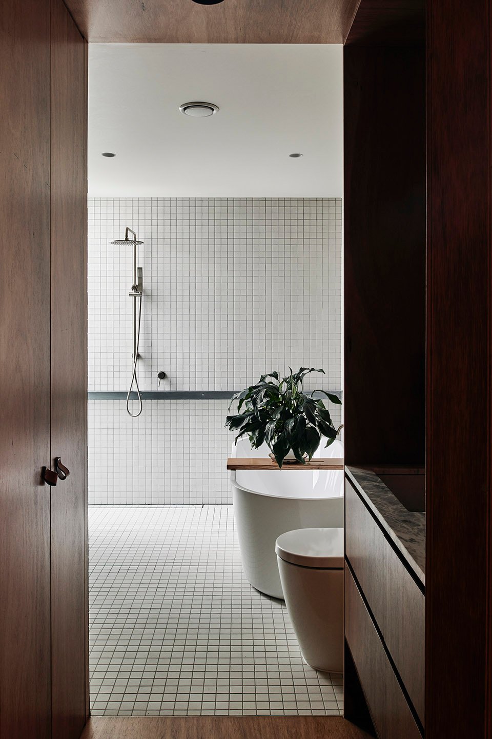 老栗树住宅,澳大利亚 / FIGR Architecture and Design 老栗树住宅,澳大利亚 / FIGR Architecture and Design