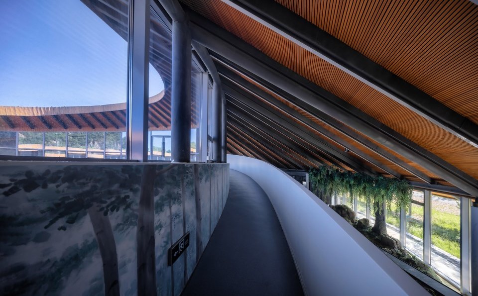 环秀湖湿地科普宣教馆建筑设计，天津 / 北林风景建筑研究中心