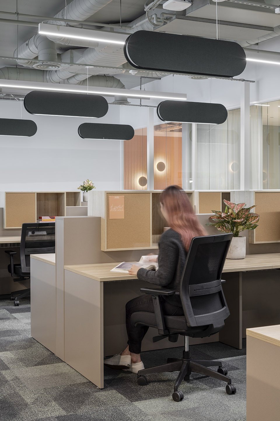 The Commons South Yarra 共享办公空间，墨尔本 / Foolscap Studio