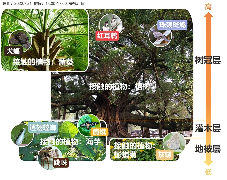 鲸山别墅社区共建花园，深圳 / 哈尔滨工业大学（深圳）建筑学院公共空间实验室