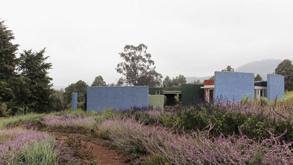梅莱斯·泽纳维纪念公园，埃塞俄比亚 / Studio Other Spaces
