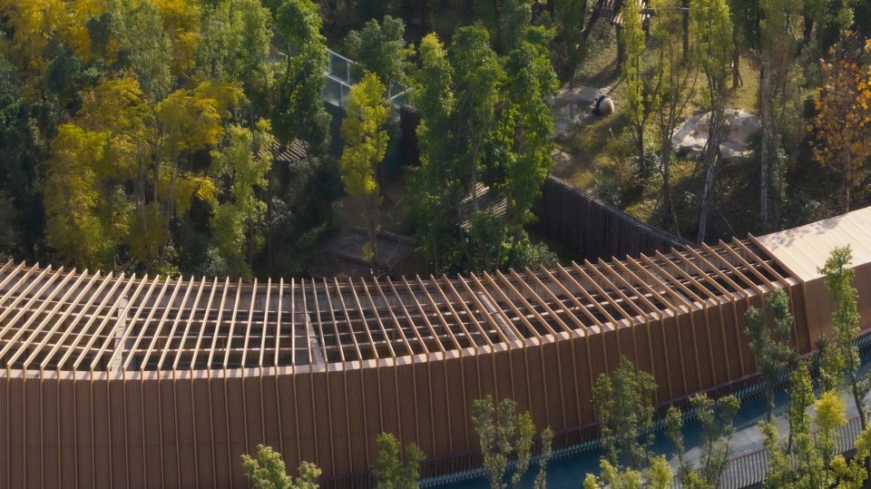 成都熊猫新舍 / EID Arch 姜平工作室 成都熊猫新舍 / EID Arch 姜平工作室