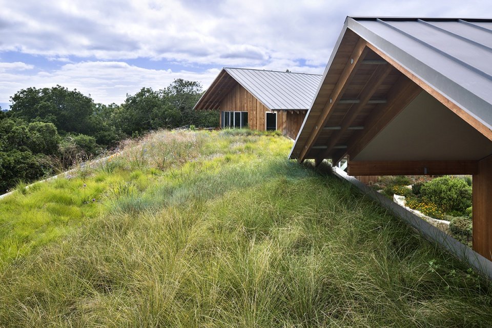 2022 ASLA 住宅设计类荣誉奖：海岸岭住宅，美国加州 / Scott Lewis Landscape Architecture