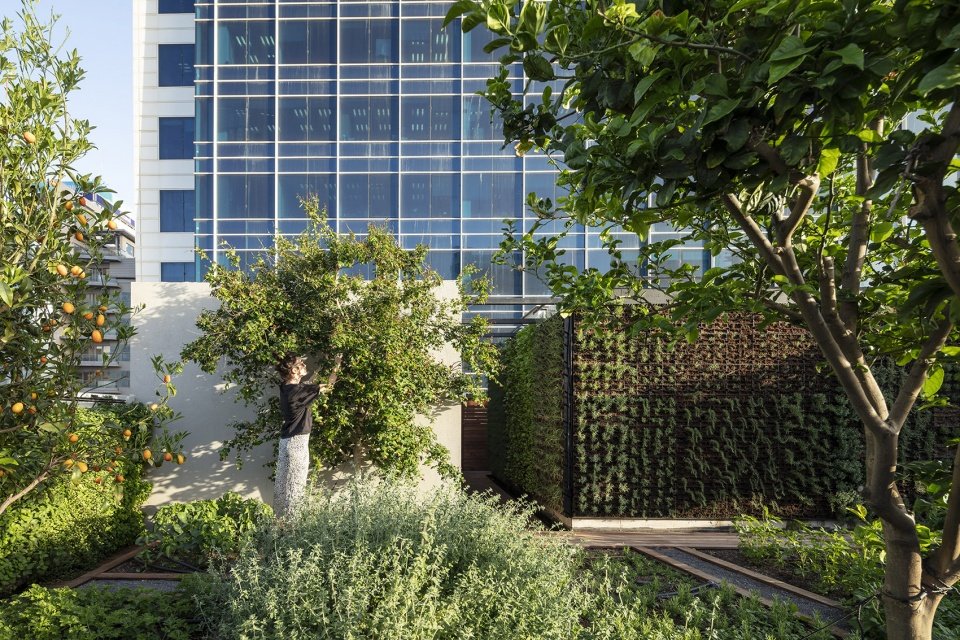 特拉维夫国家创业中心的以色列烹饪学院,以色列 / Kimmel Eshkolot Architects 特拉维夫国家创业中心的以色列烹饪学院,以色列 / Kimmel Eshkolot Architects