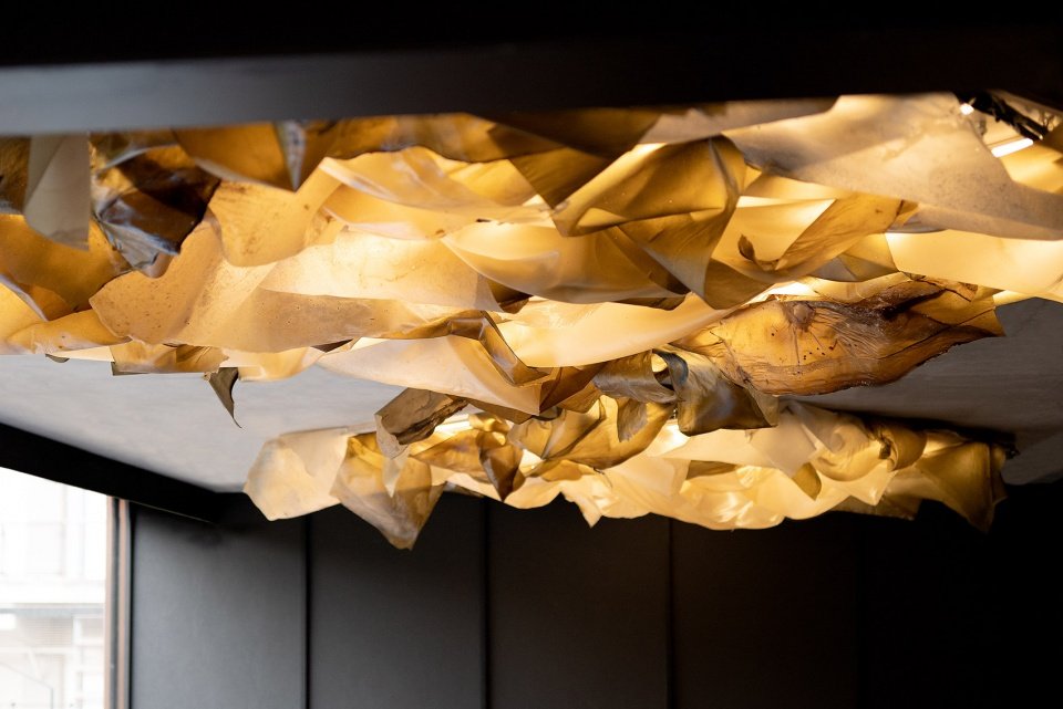 京都 NOMA 餐厅，日本 / OEO STUDIO