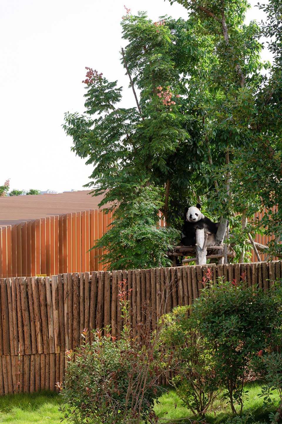 成都熊猫新舍 / EID Arch 姜平工作室 成都熊猫新舍 / EID Arch 姜平工作室