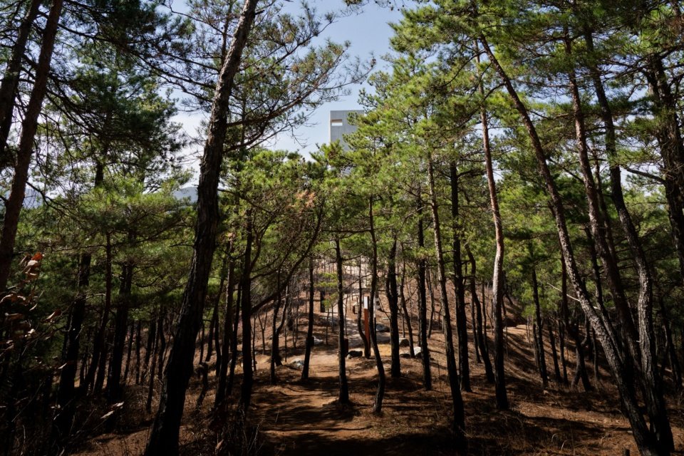 思惟园 – 西扎建筑作品 / 摄影：William Mulvihill