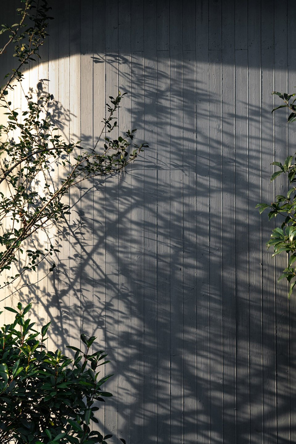 杭州江南实验学校教育集团江晖小学 / 浙江大学建筑设计研究院