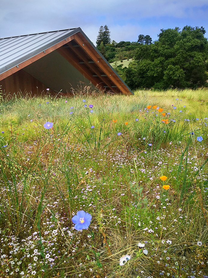 2022 ASLA 住宅设计类荣誉奖：海岸岭住宅，美国加州 / Scott Lewis Landscape Architecture