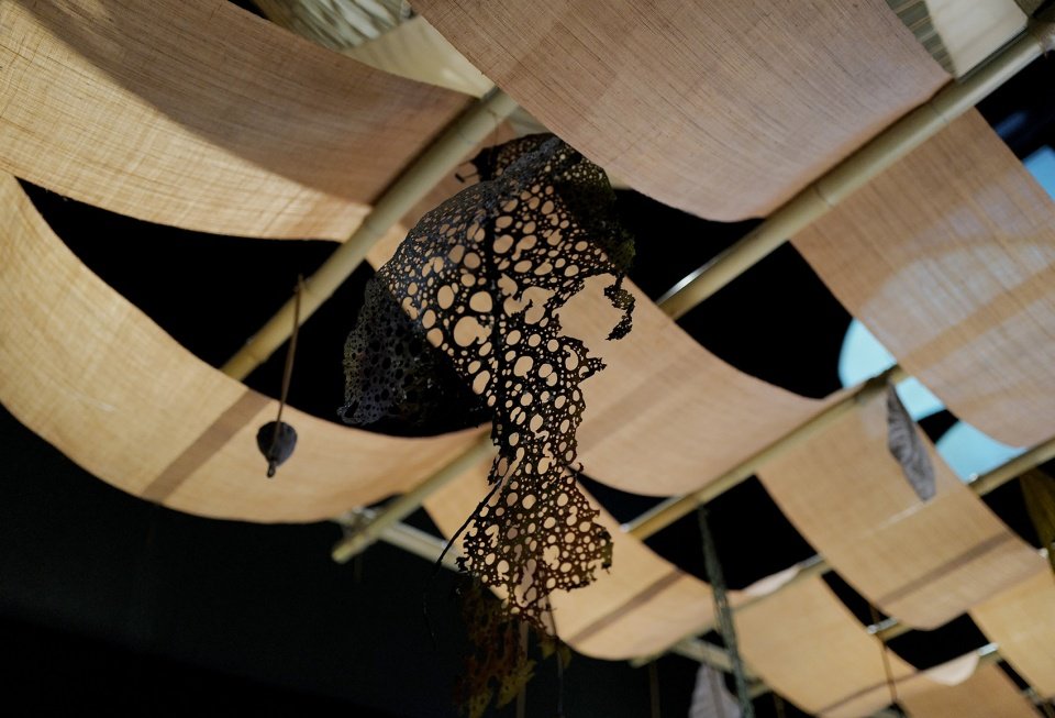 京都 NOMA 餐厅，日本 / OEO STUDIO