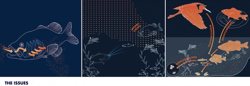 2022 ASLA 研究类荣誉奖：遏制沉积物：概念的证明，美国俄亥俄州 / Halina Steiner + Ryan Winston